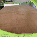 Wettbewerbsfähiges Preis 1,6 mm Uty Grade Commercial Sperrholz von Linyi